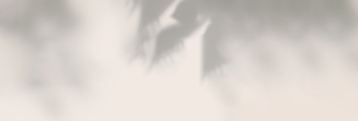 slider-bg